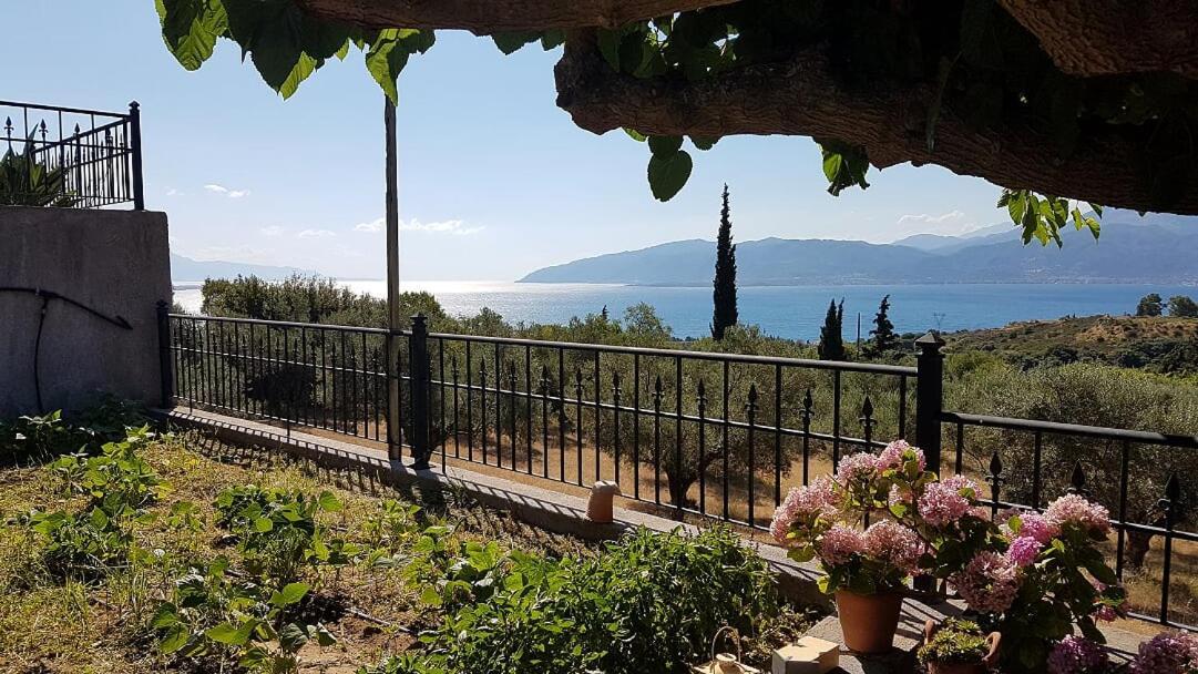 Villa Anna Nafpaktos Buitenkant foto