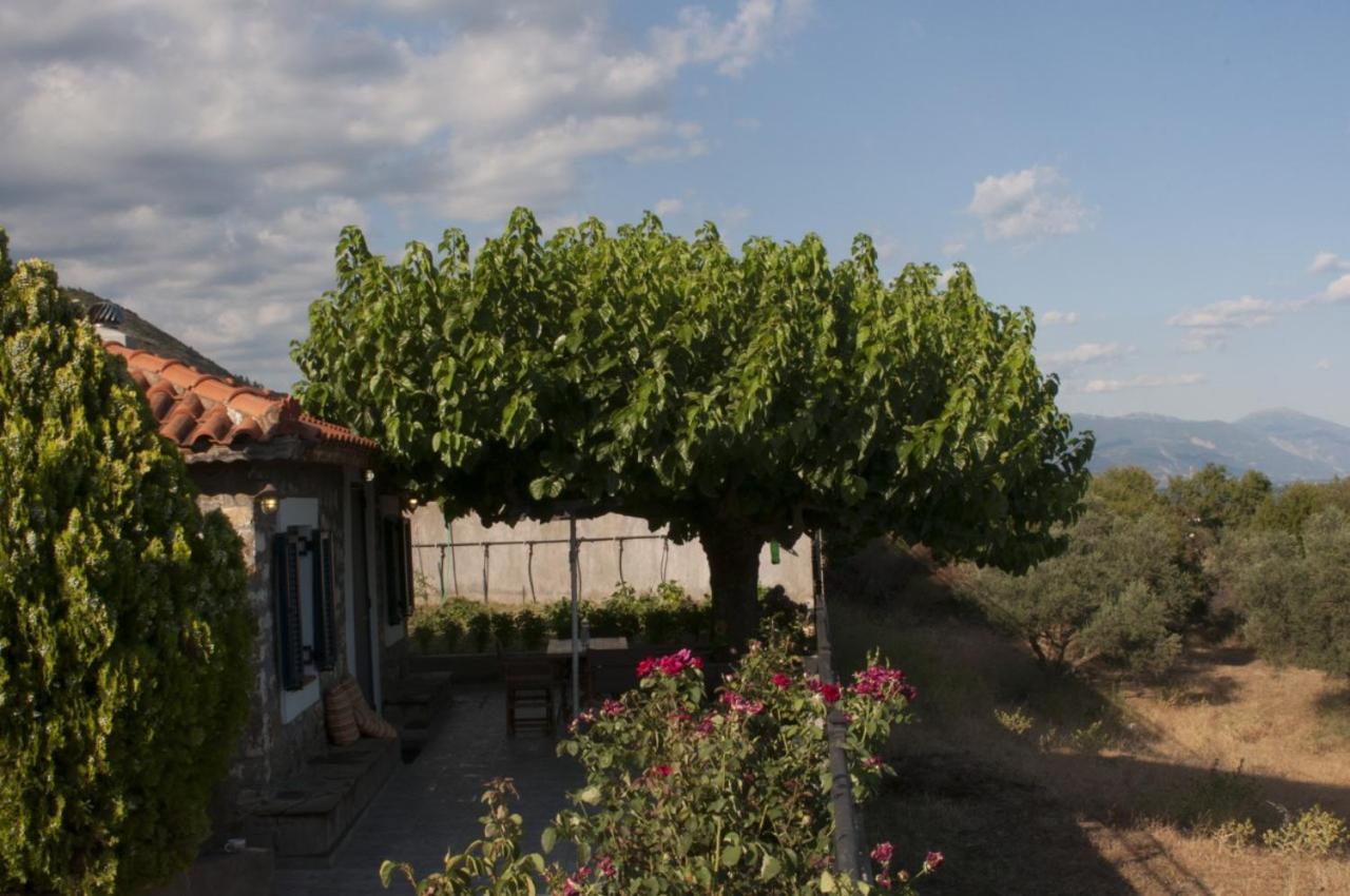 Villa Anna Nafpaktos Buitenkant foto